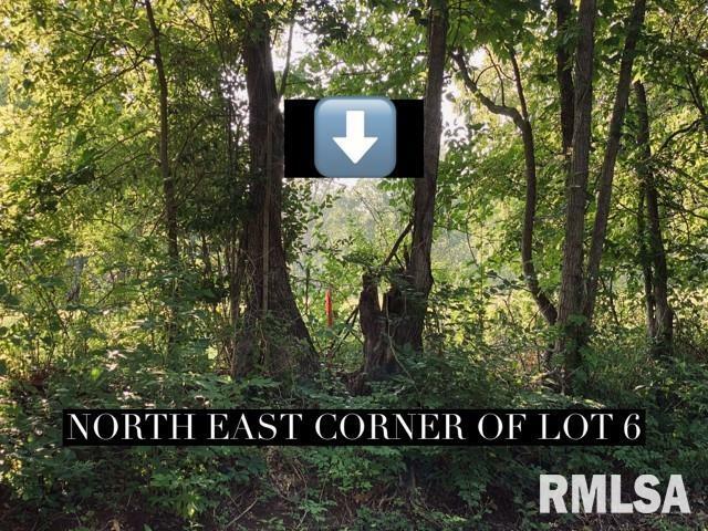 Property Photo: Lot 6 Falcon Road IL 62901