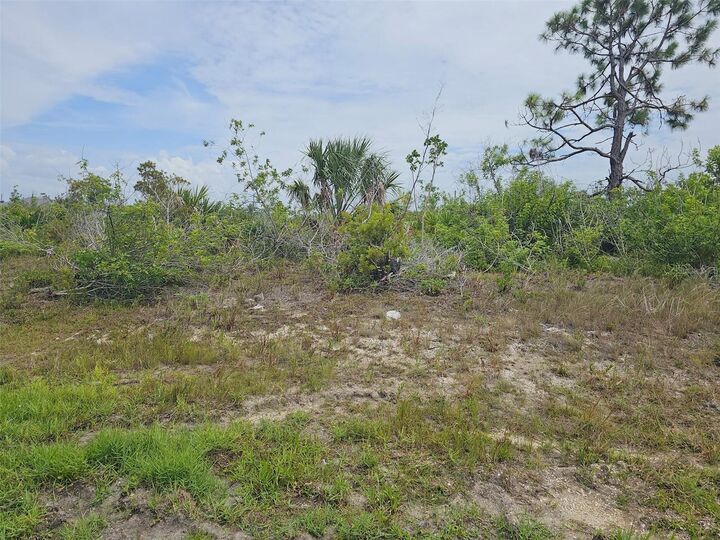 Property Photo:  15093 Acorn Circle  FL 33981