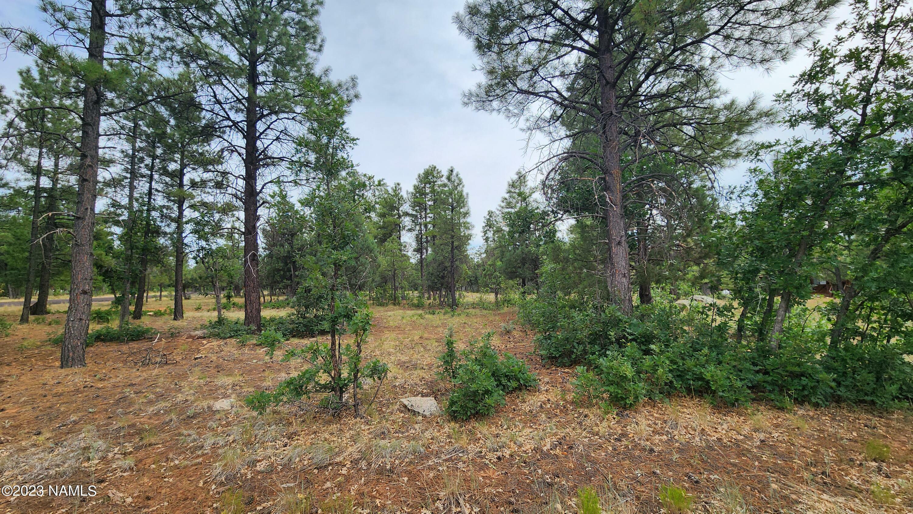 Property Photo:  2940 Roundup Circle  AZ 86024 