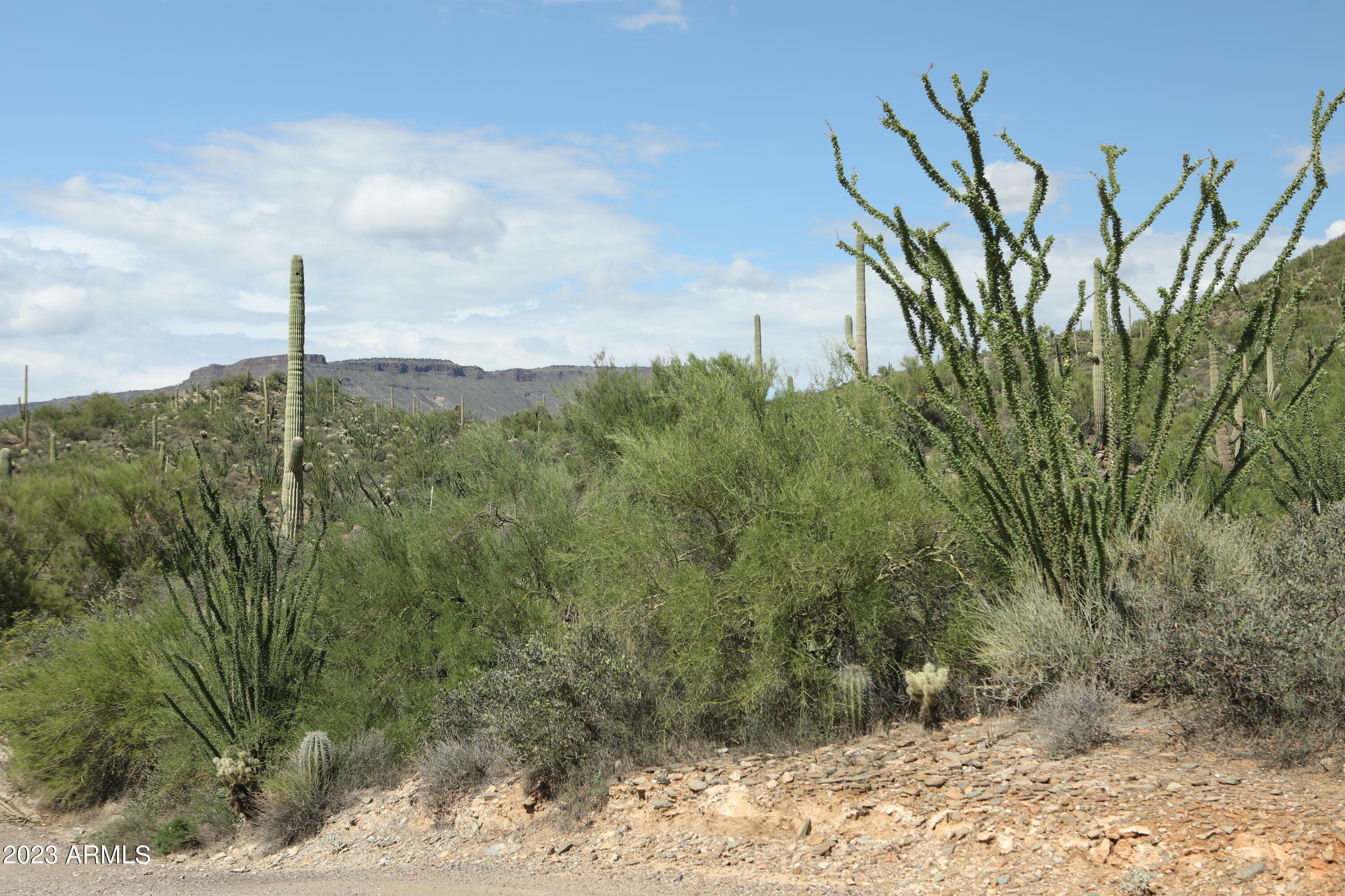 Property Photo:  44901 N Cottonwood Canyon Road '-'  AZ 85331 