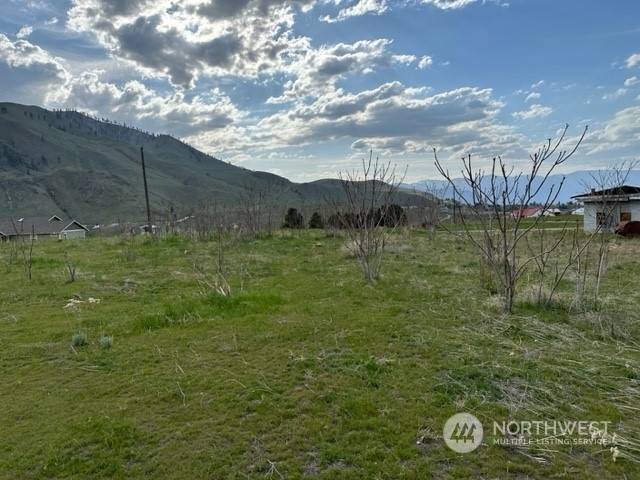 Property Photo:  0 Nna Miller Road  WA 98816 