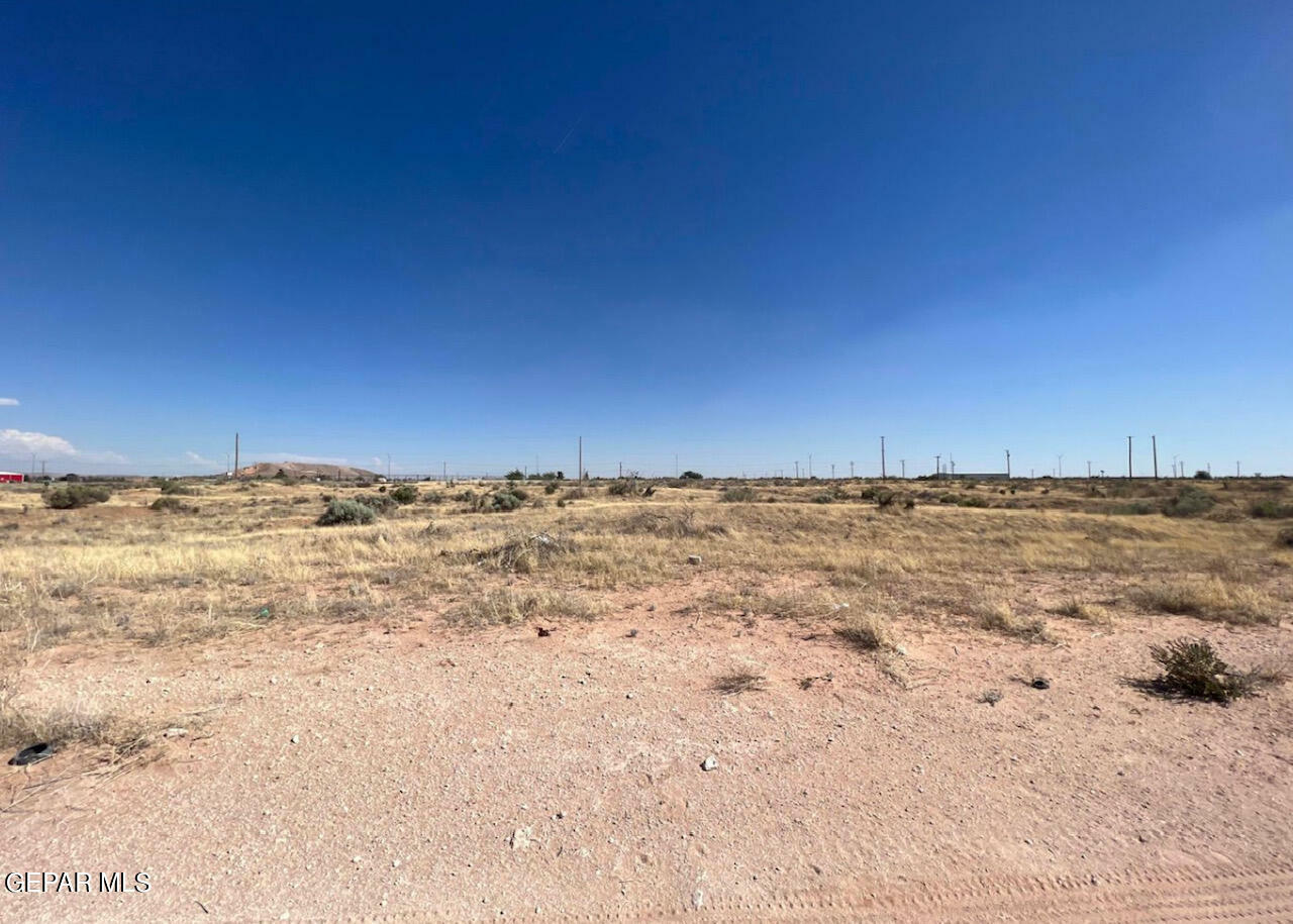 Property Photo:  15325 Patsy Place  TX 79938 