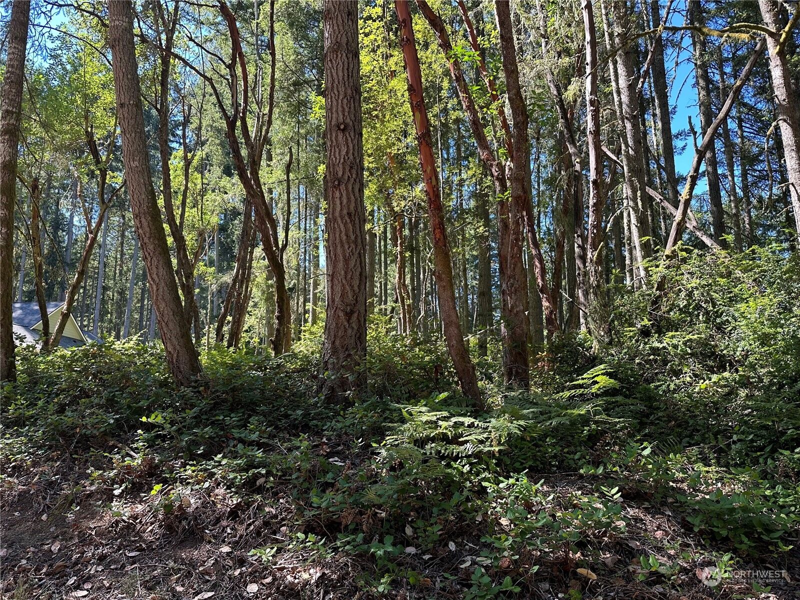 Property Photo:  11416 Lake Josephine Blvd  WA 98303 