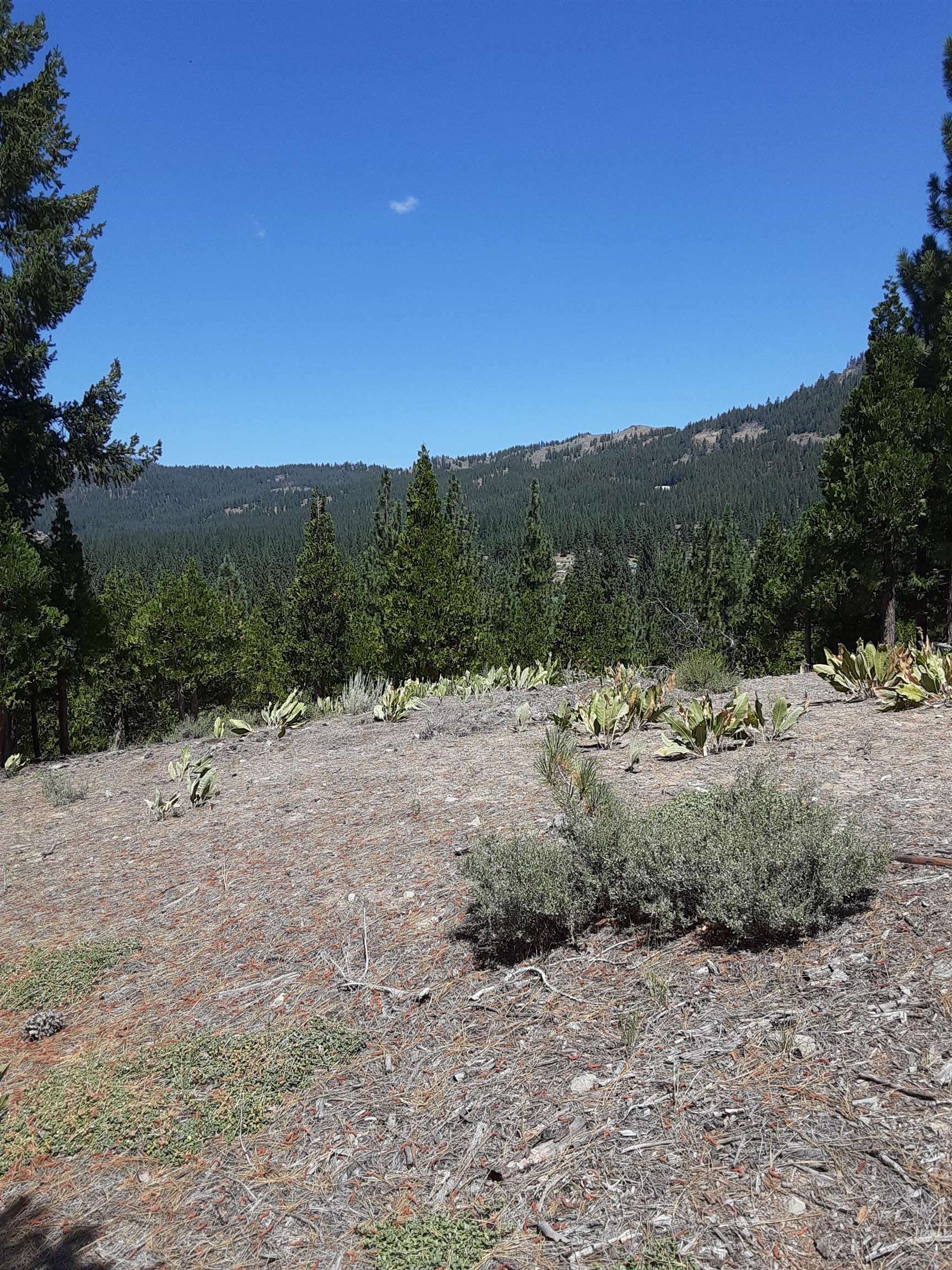 Property Photo:  1924 Grizzly Ranch Road  CA 96122 