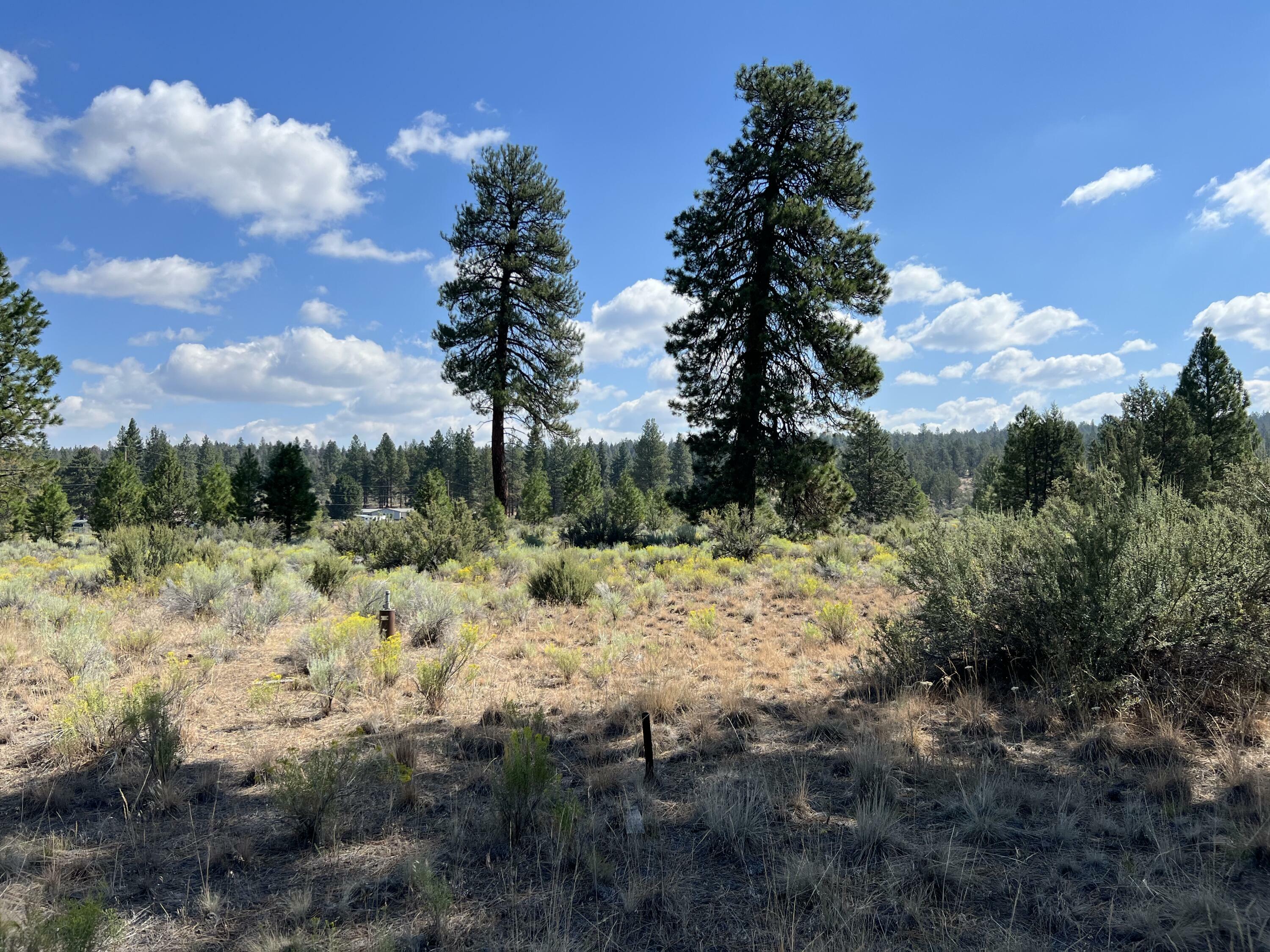 Property Photo:  Lot 21 Bufflehead Drive  OR 97623 