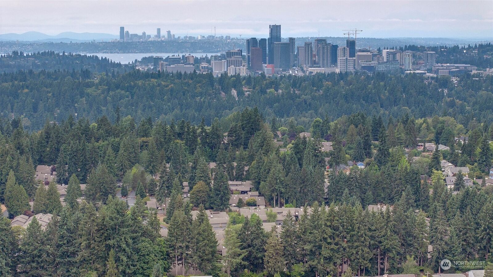 Property Photo: 166 142nd Place NE WA 98007