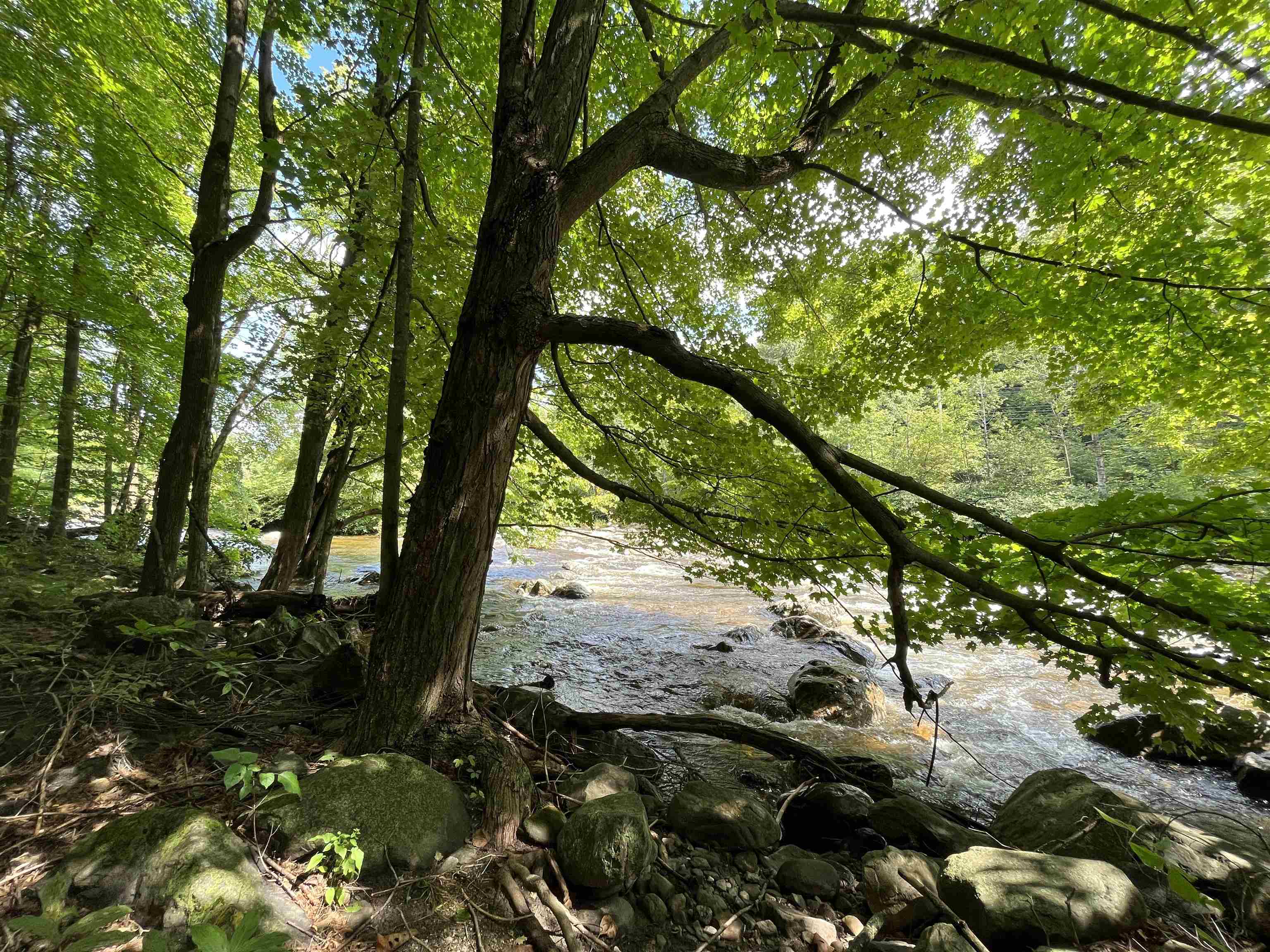 Property Photo:  3 Cold Springs Road  VT 05443 