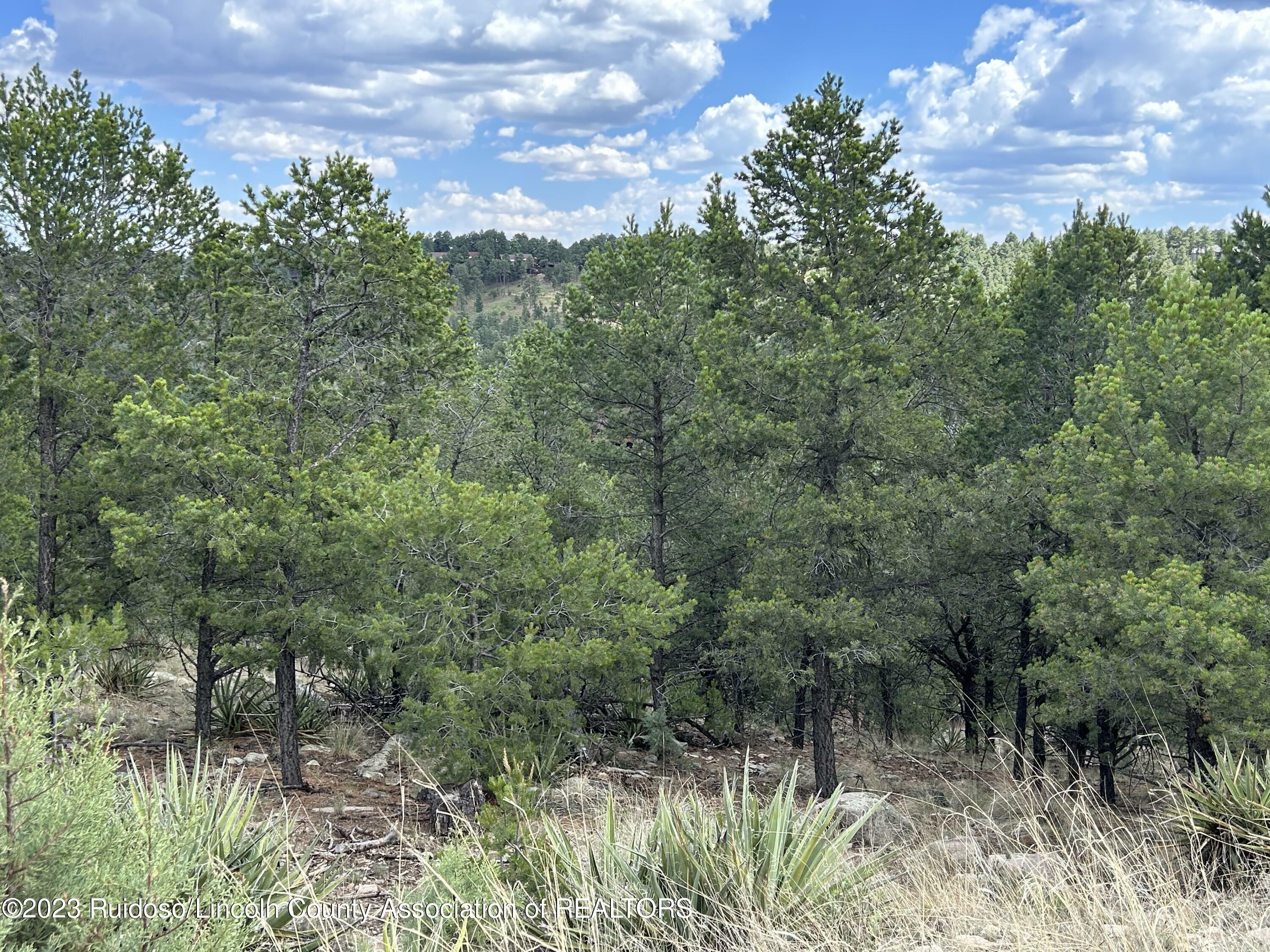 Property Photo:  102 Promontory  NM 88312 