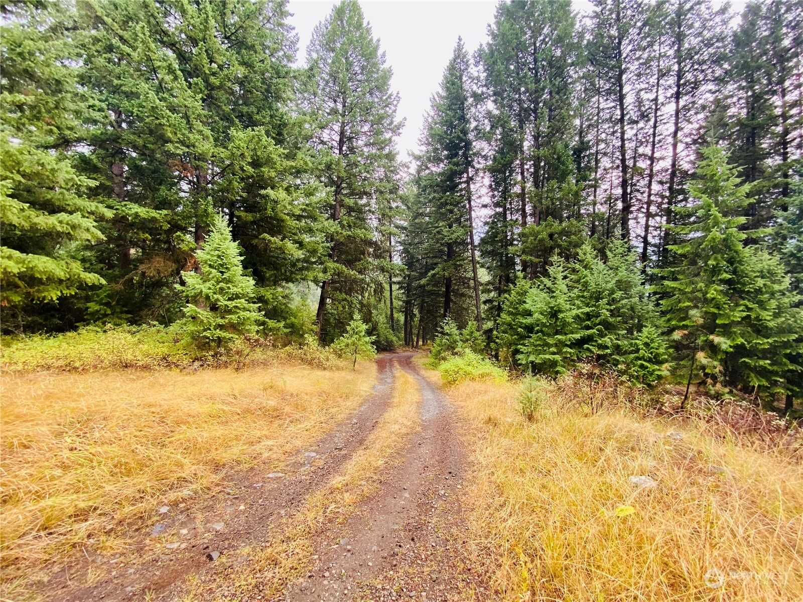 MLS2154075 9999 Lambert Creek Rd, Republic, WA 99166