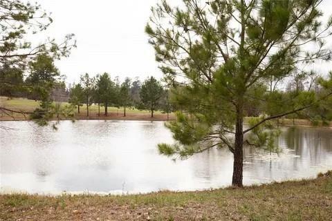 Property Photo:  135 N Forest Drive  TX 77340 