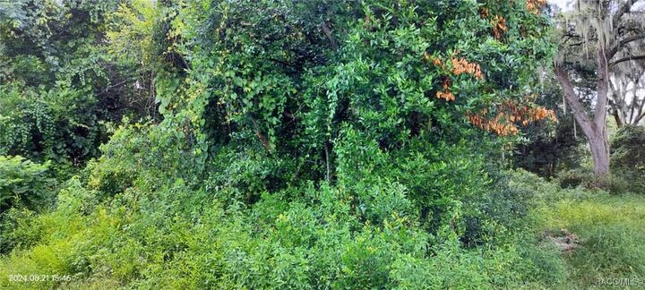 Property Photo: 1980 S Tsala Terrace FL 34450