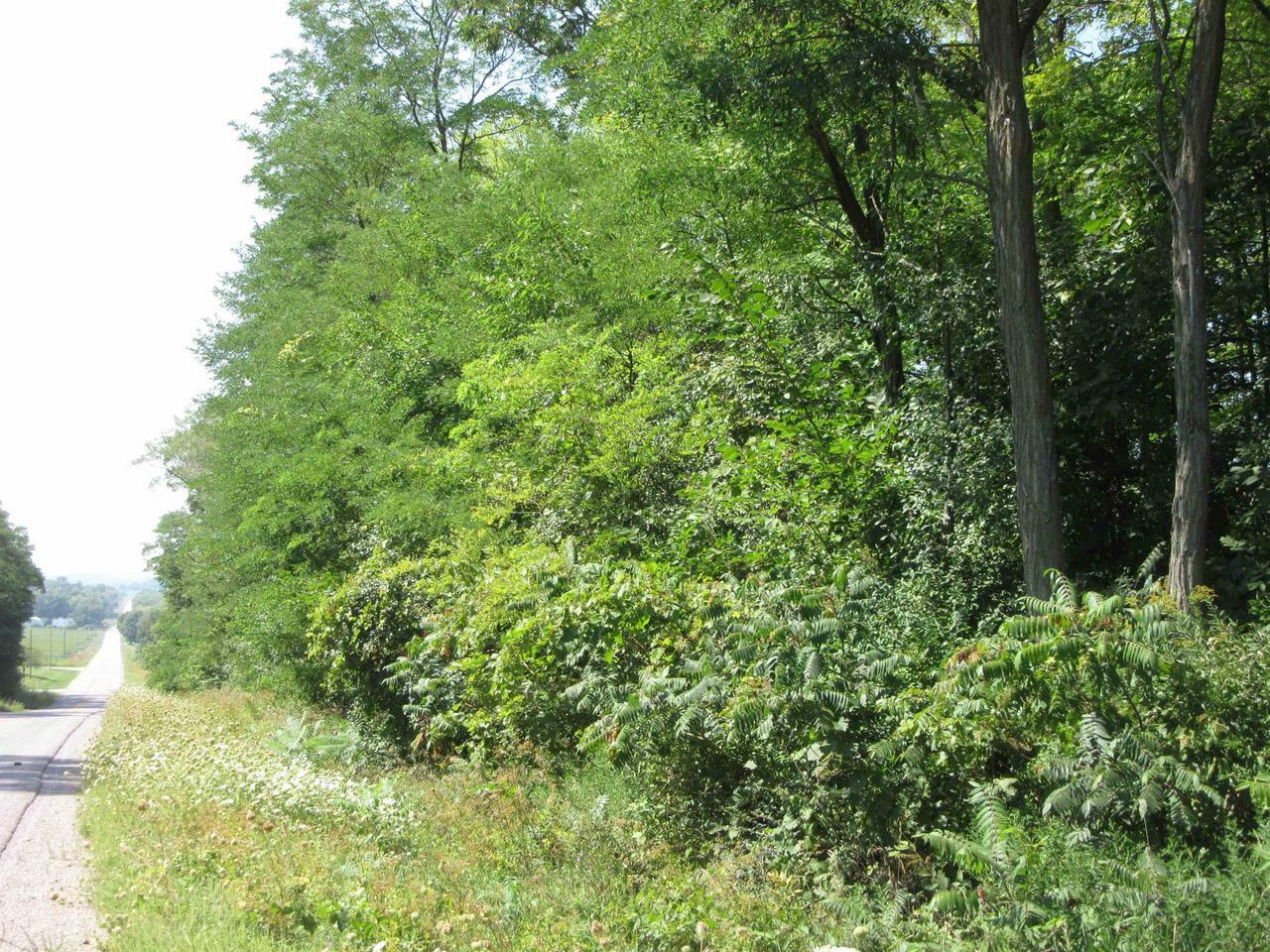 Lot 2 County Road E  Pardeeville WI 53954 photo