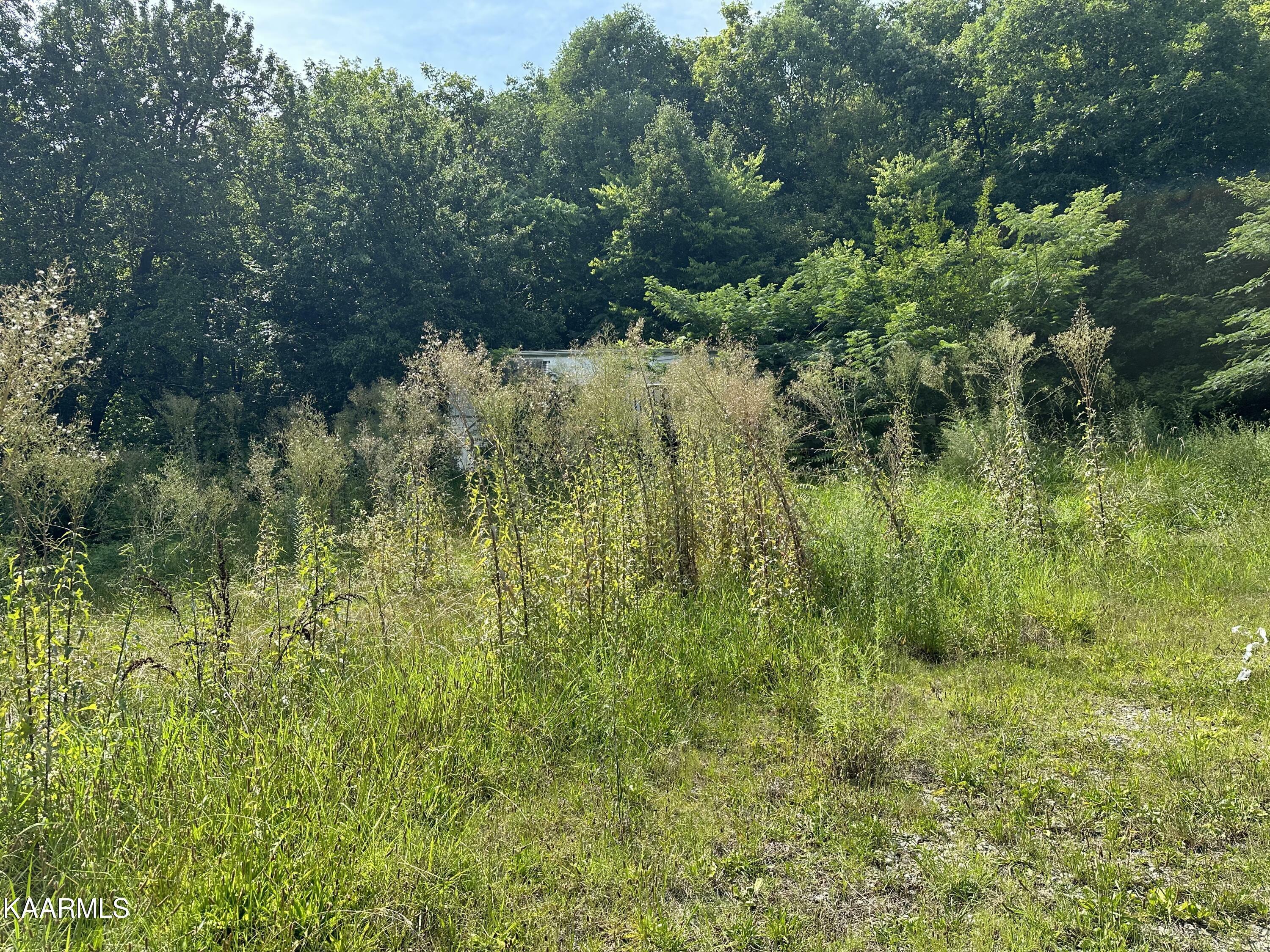 Property Photo:  0 NW Dakota Ave  TN 37921 