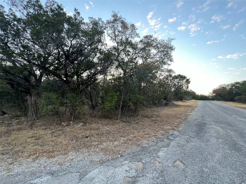 21701 Falcon Lane  Lago Vista TX 78645 photo