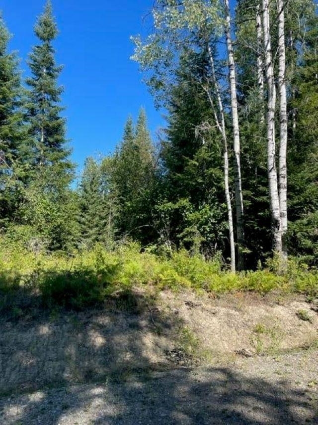 Property Photo:  Tbd Lot 10 N Leclerc Rd  WA 99139 