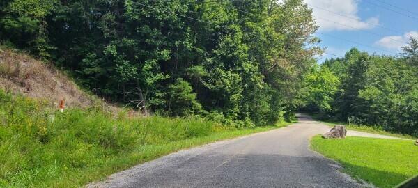 Property Photo:  0 Caldwell Rd  TN 37313 