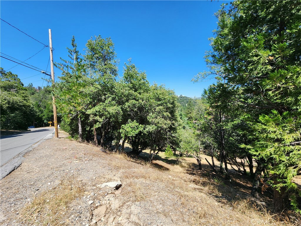 Property Photo:  24021 Bowl Road  CA 92325 