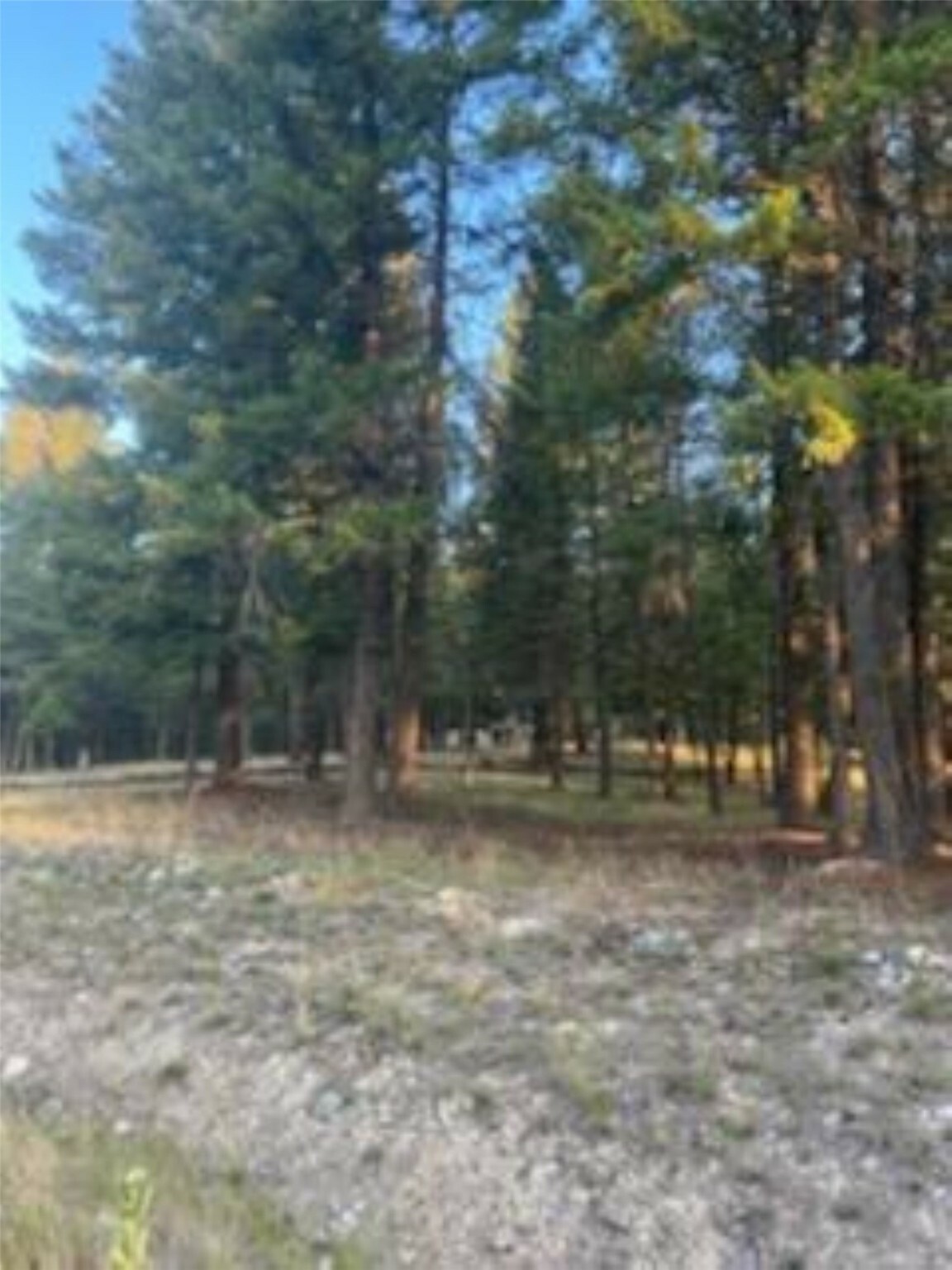 Property Photo: 90 Forest Loop MT 59917