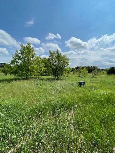 Property Photo: Lot 5 Merles WI 54801