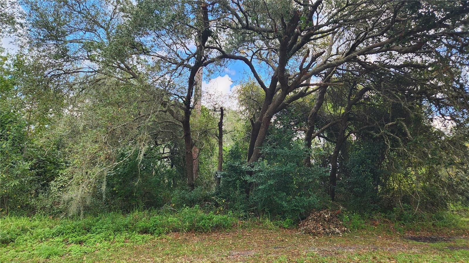 Property Photo:  1766 Mayhill Street  FL 32738 