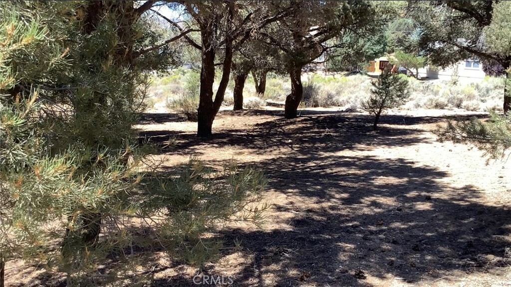 Property Photo:  0 Golden Rod  CA 92314 