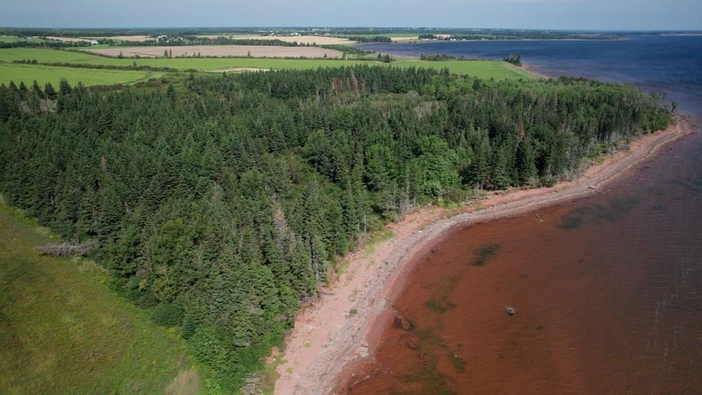Photo de la propriété: Bayside PE C0B 1Y0