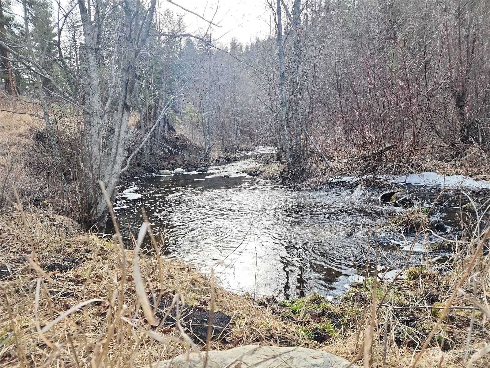 Property Photo: 0 Xxx Aeneas Valley Road WA 98855