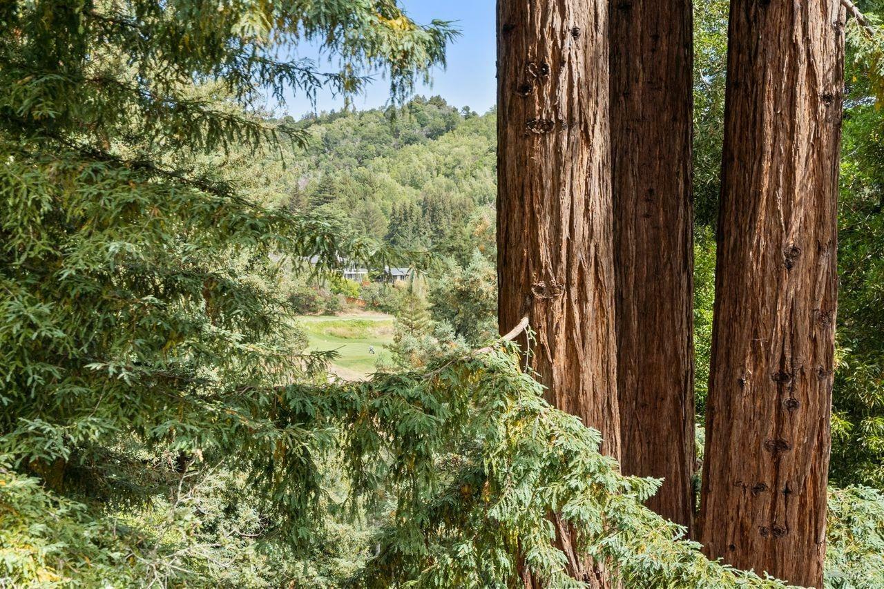 Property Photo: 2 Bay Tree Lane CA 94941
