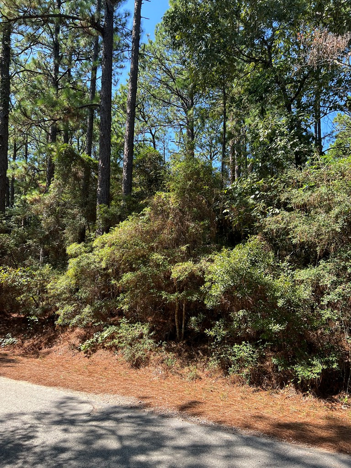 Property Photo:  420 Sparkleberry Dr.  TX 75931 