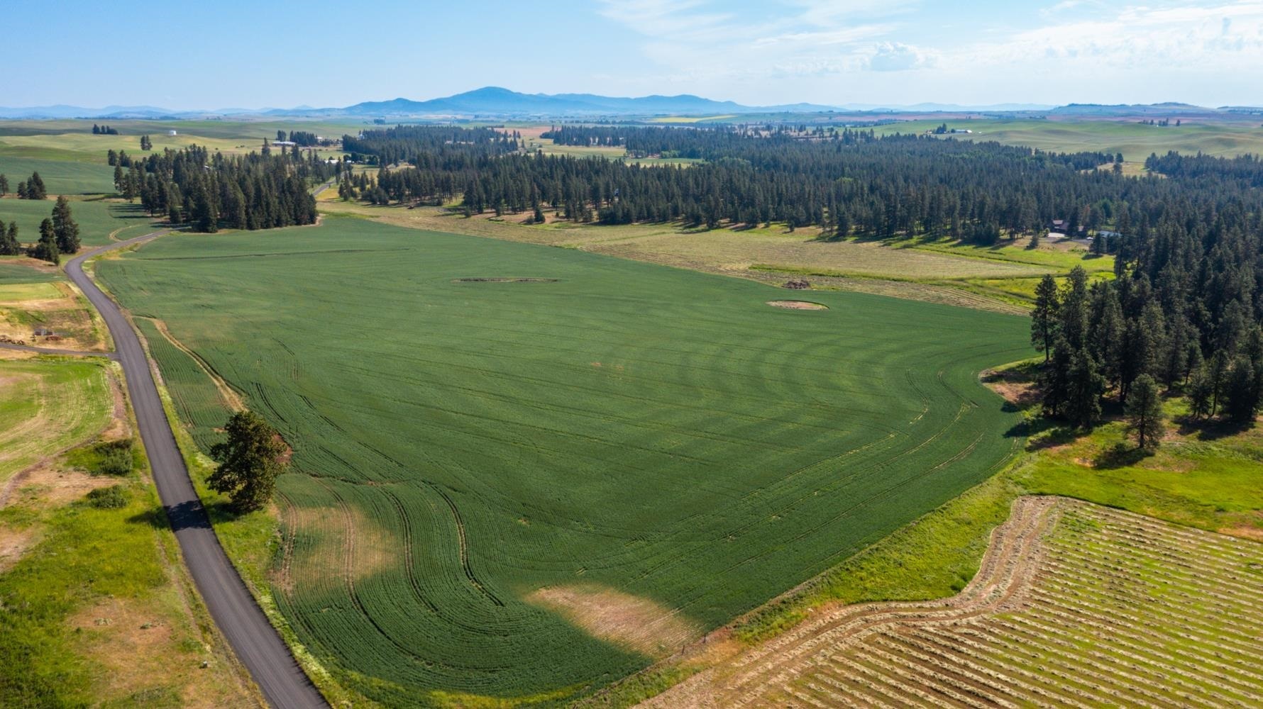 Property Photo: 0 S North Pine Creek Rd WA 99031