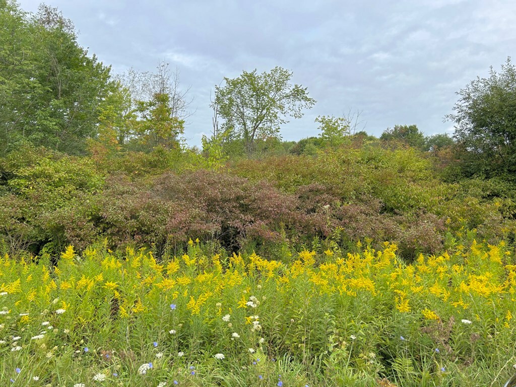 Property Photo: 13114 Robinson Road PA 16406