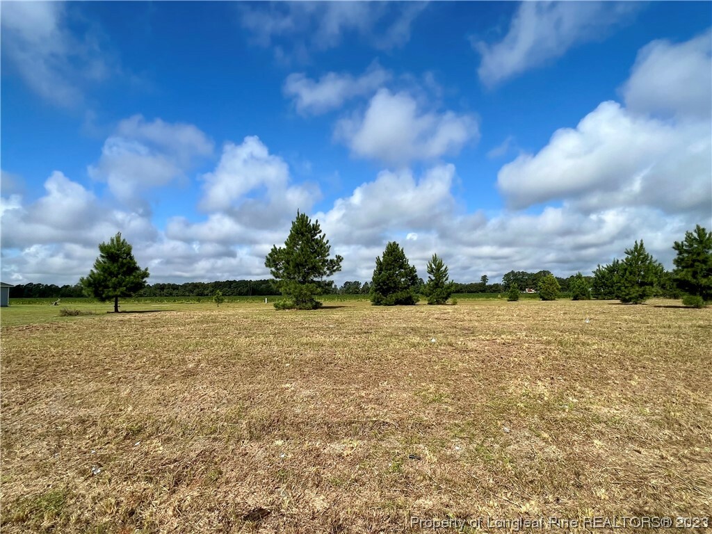 Property Photo:  Grassy Lane  NC 28384 