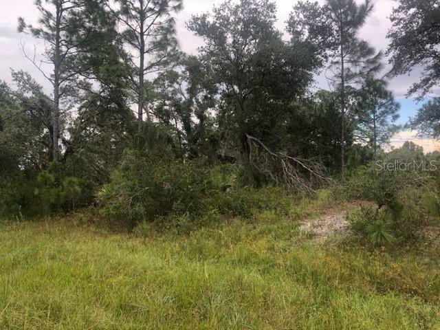 Property Photo:  Lots 5 &Amp 6 Tilhal Terrace  FL 34291 