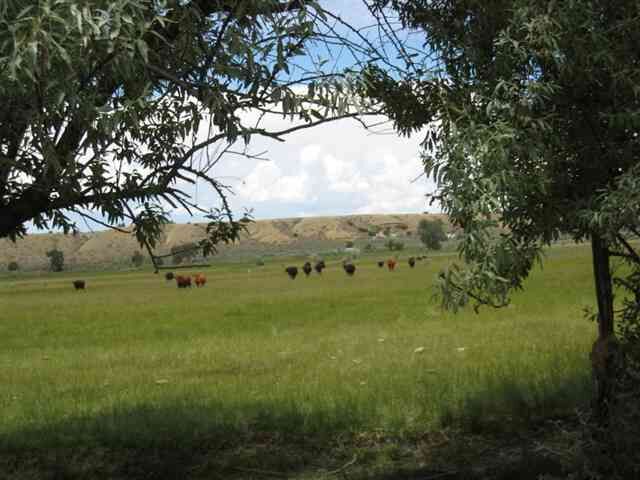 Property Photo:  La Senisa Road  NM 87571 
