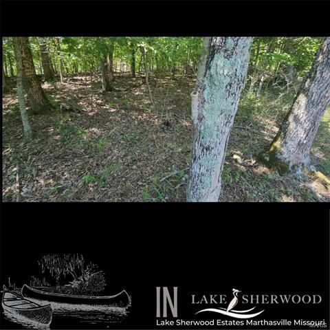 Property Photo: 904 Long Bow Drive MO 63357