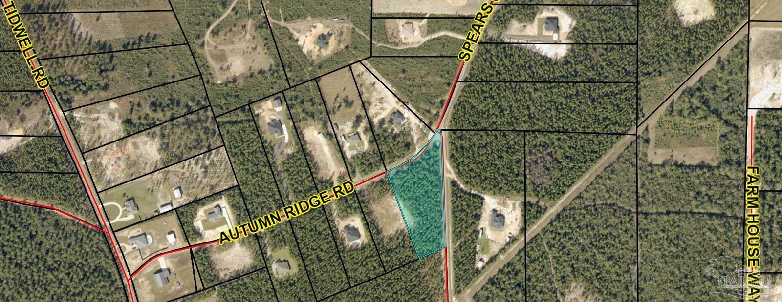 Property Photo:  Autumn Ridge Road  FL 32571 