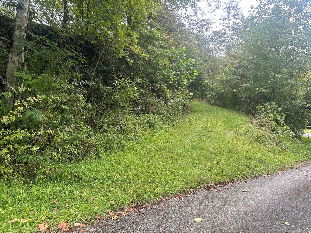 Property Photo:  0 Little Lick Branch Road  KY 41224 
