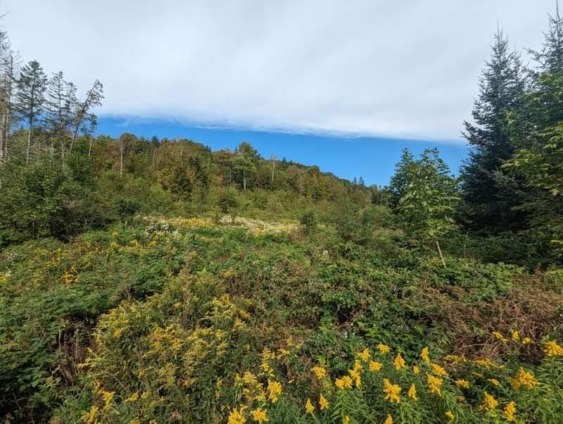 Property Photo:  901 Keiser Pond Road  VT 05862 