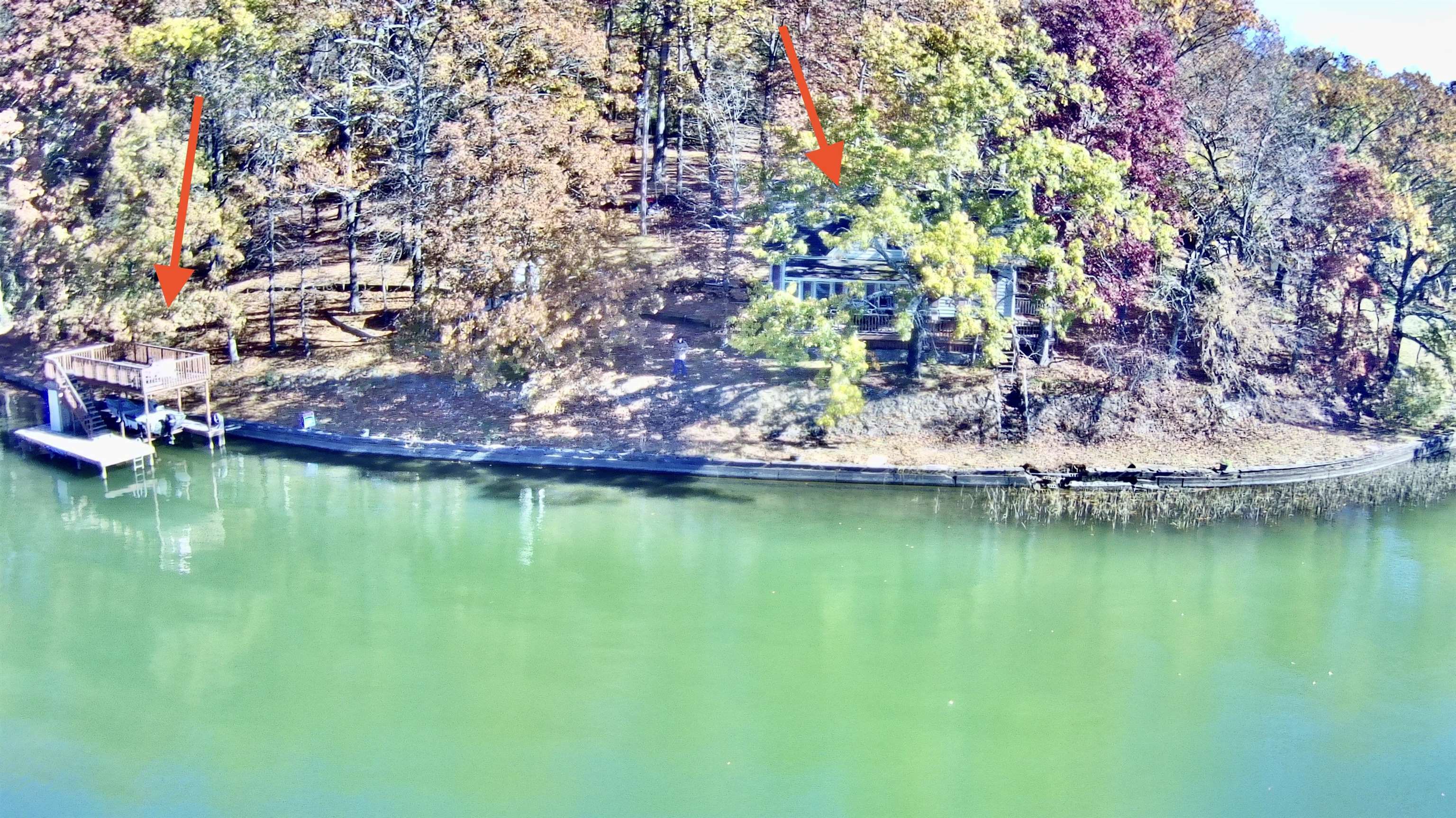 51 Limerick Ct  Muscle Shoals AL 35661 - MUSCLE S photo
