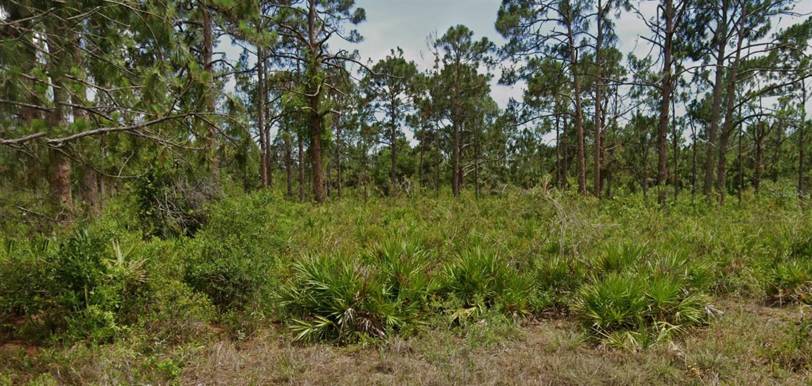 Property Photo:  13547 Lynbrook Avenue  FL 33953 