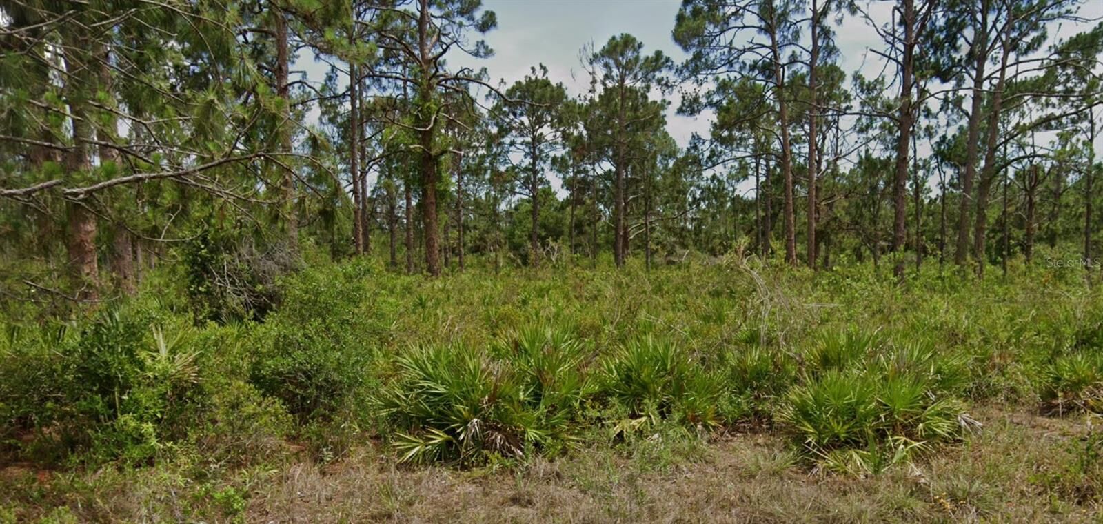 Property Photo:  13547 Lynbrook Avenue  FL 33953
