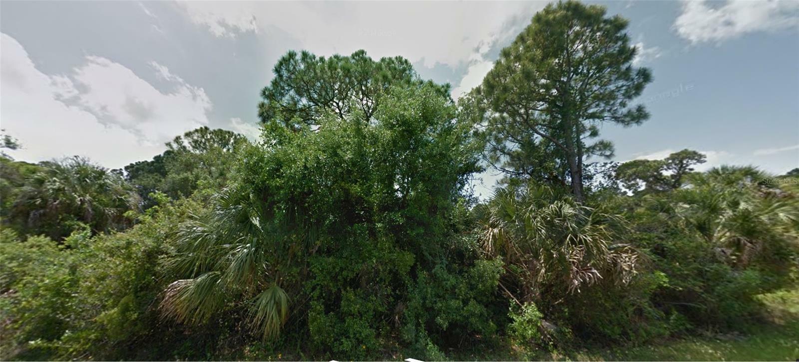 Property Photo:  1228 Casper Street  FL 33953 