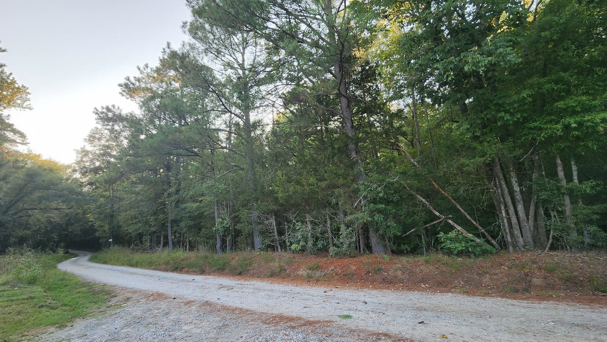 Property Photo:  00 Johns Creek Road  SC 29620 