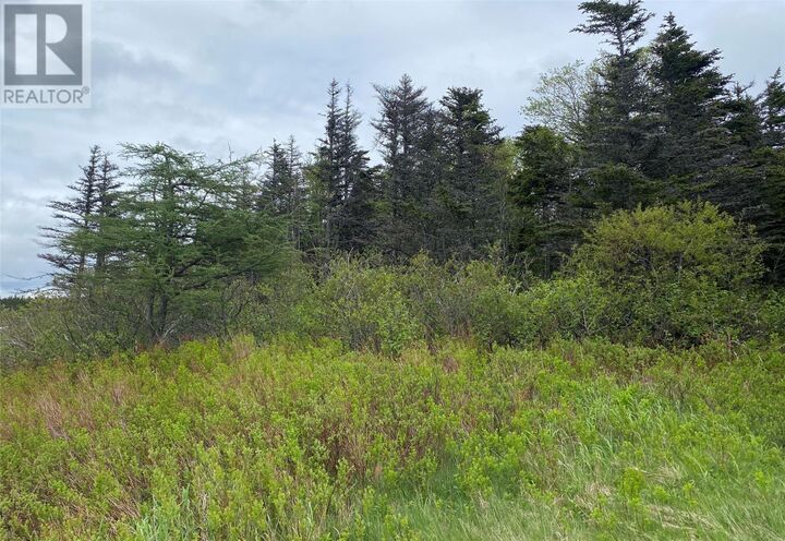 Property Photo:  2 Spruce Grove Drive  NL A1K 1C8 