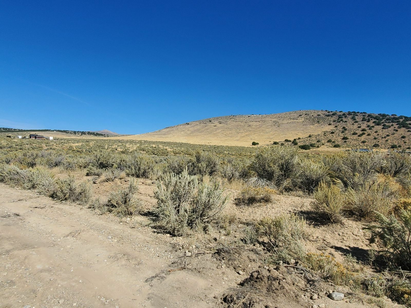 Property Photo:  Humboldt Avenue  NV 89815 