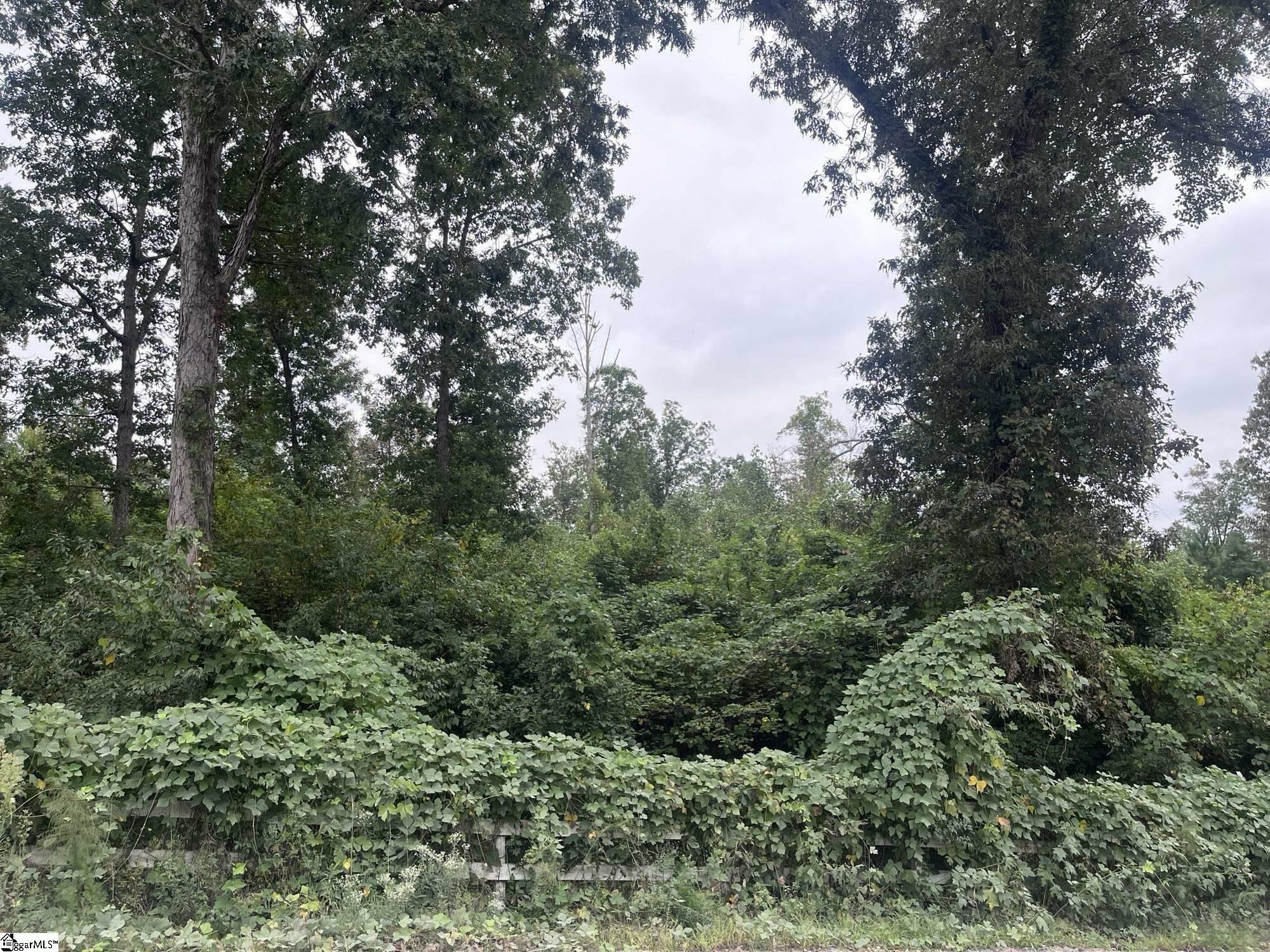 Property Photo:  000 Riverbend Road Lot 35  SC 29643 