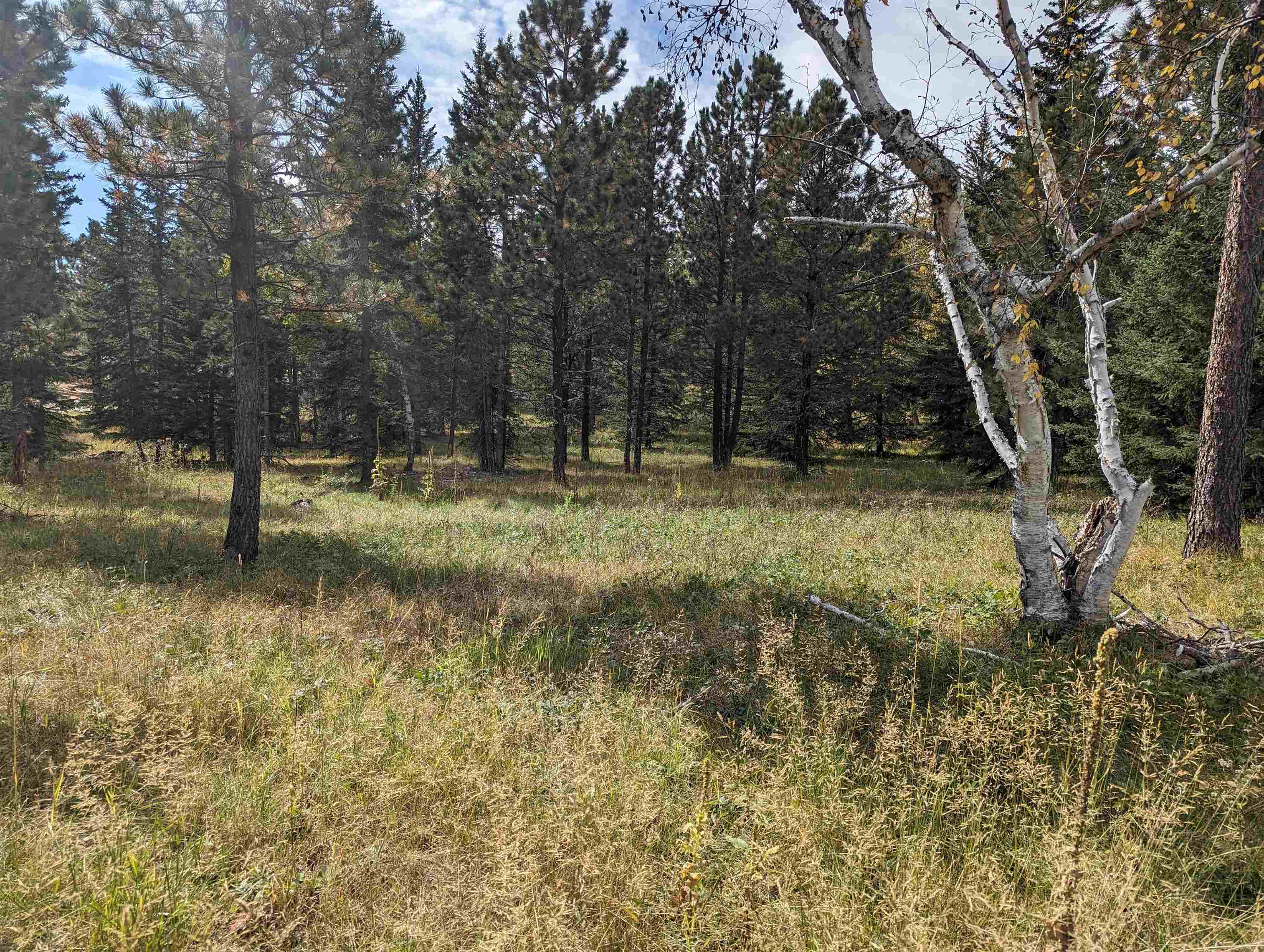 Lot 3 Block 11 Westwind Ct.  Lead SD 57754 photo