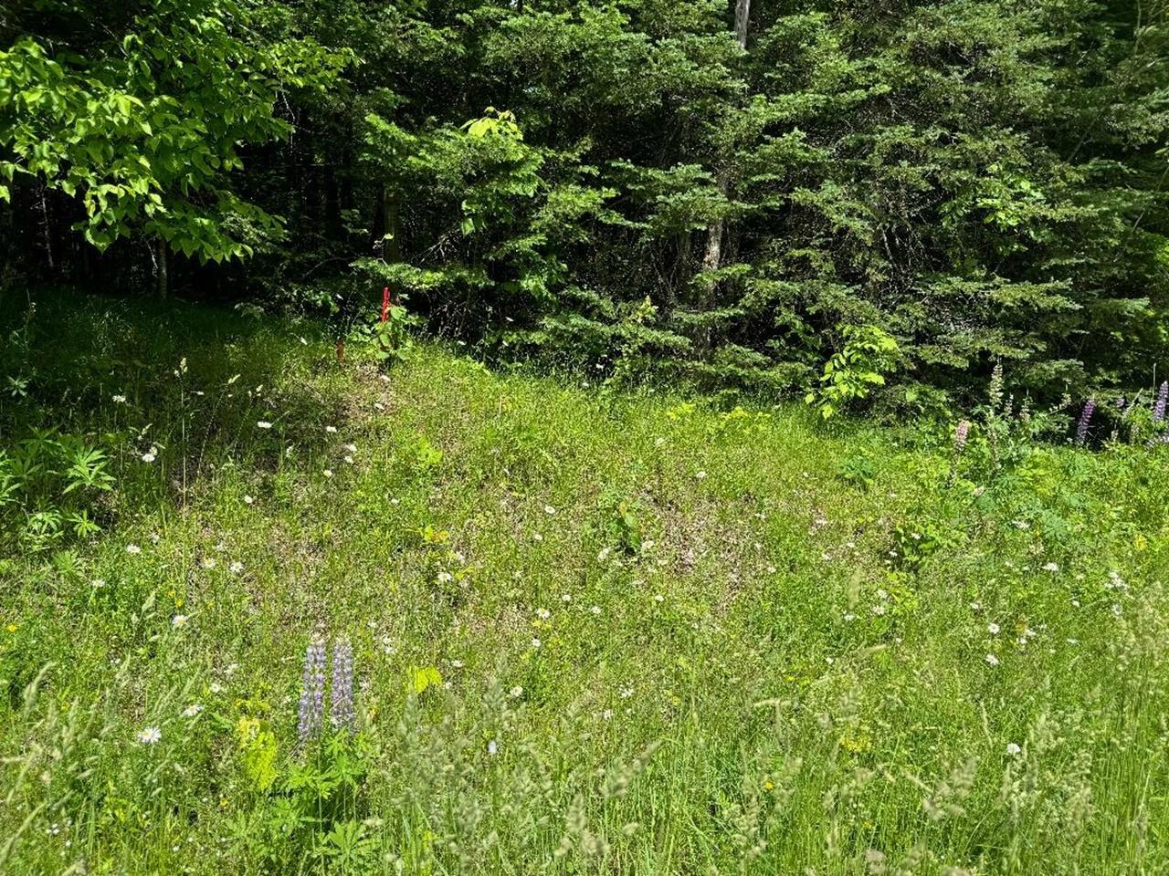 Property Photo:  On Cth Ff 1.5 Acres  WI 54547 