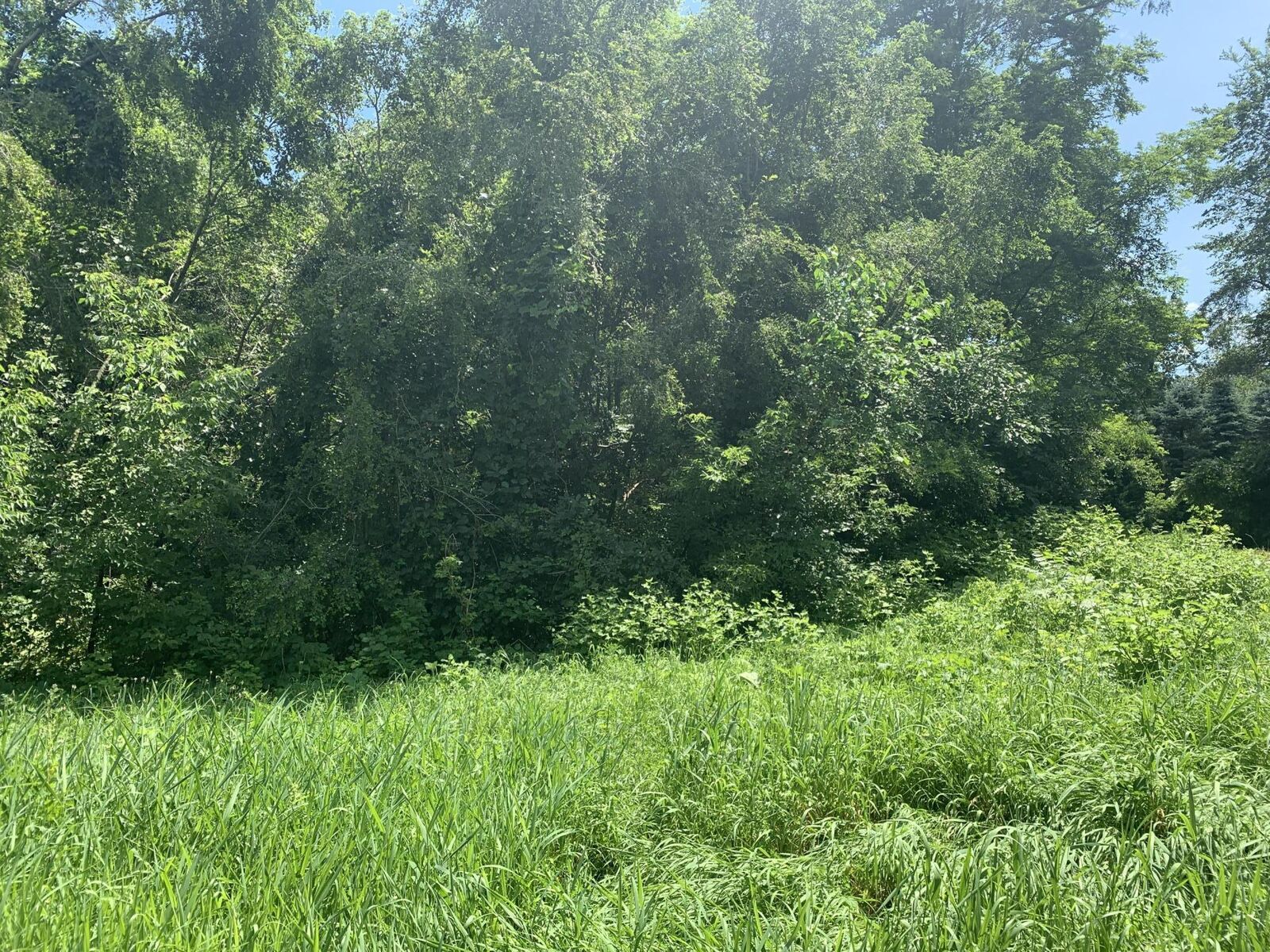 Property Photo: Lt6 Dunbar Blvd WI 53128