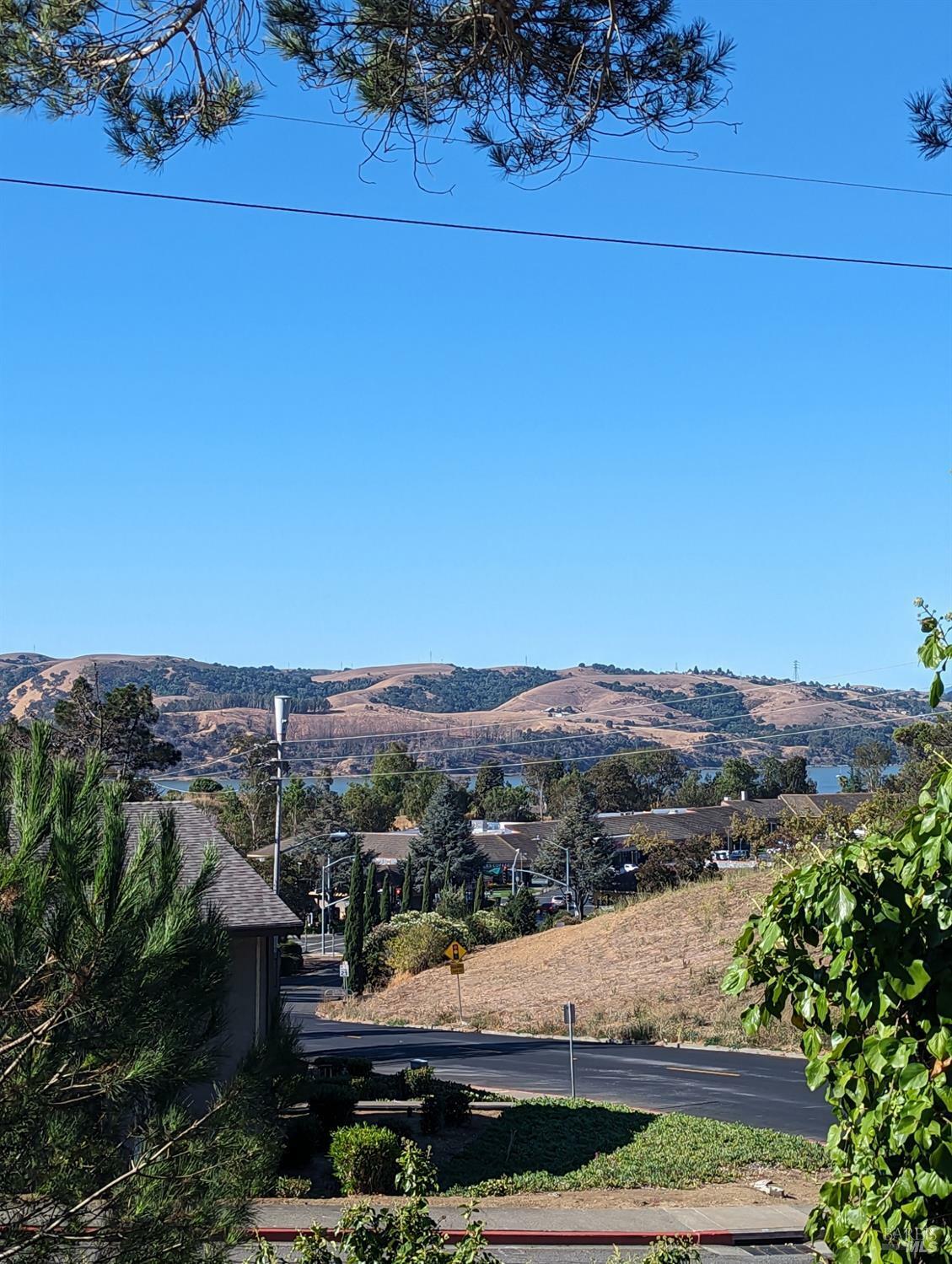 Property Photo:  100 Chelsea Hills Drive  CA 94510 